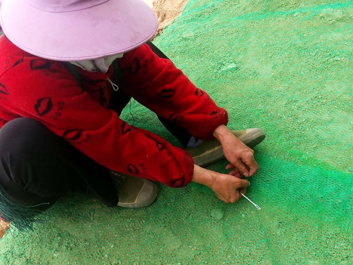 三維植被網護坡項目